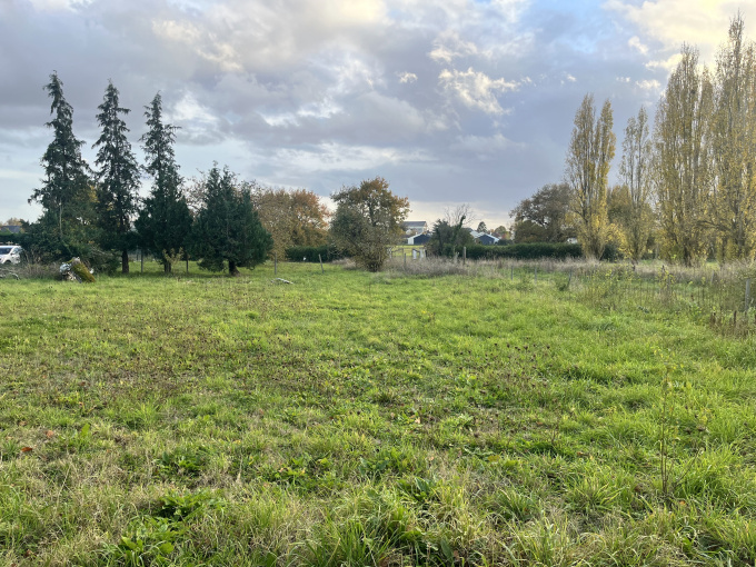Offres de vente Terrain Loire-Authion (49800)