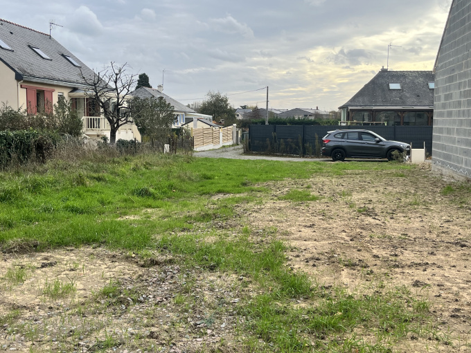 Offres de vente Terrain Loire-Authion (49800)