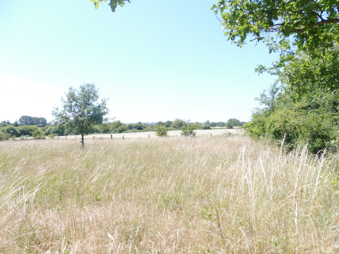 Offres de vente Terrain de loisir La Possonnière (49170)